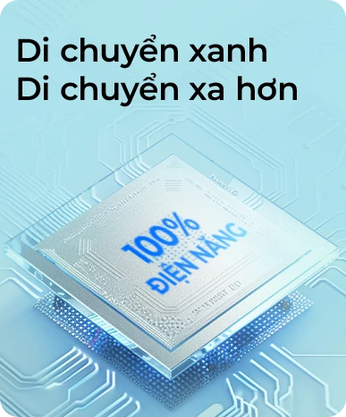 Ảnh 3